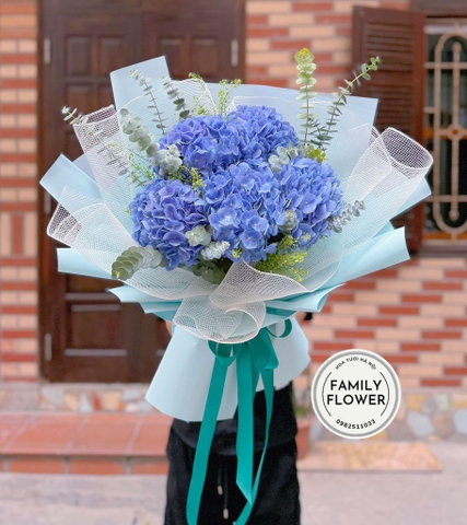 Bó hoa cẩm tú cầu xanh dương tặng người yêu quận Cầu Giấy  Hà Nội ! Hoa cẩm tú cầu !