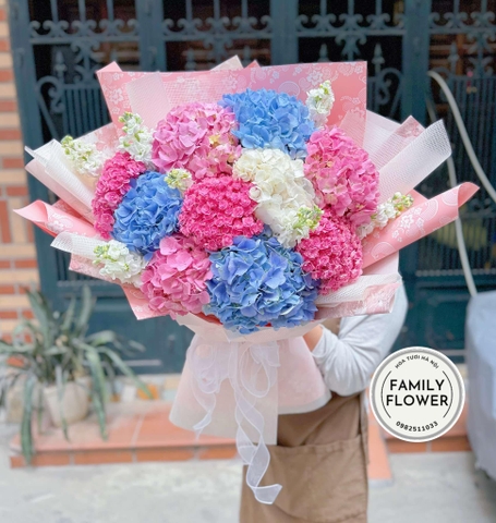 Bó hoa cẩm tú cầu mix màu tặng người yêu ở quận Ba Đình , Tây Hồ Hà Nội ! Hoa cẩm tú cầu