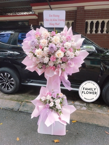 Cây hoa chúc mừng chị khai trương hồng phát đẹp tại Hà Nội - Family Flower - Hoa tươi Hà Nội.