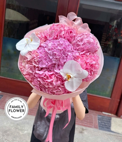 Hoa cẩm tú cầu hồng ! Family flower bó hoa cẩm tú cầu tặng bạn gái quận Ba Đình