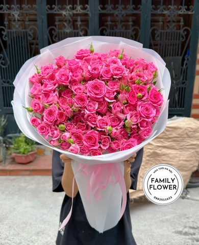 Bó Hoa Hồng Sophia Hồng Thanh Lịch Tặng Sinh Nhật Tại Hà Nội