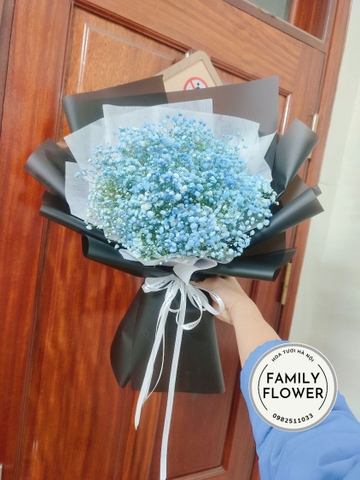 Hoa baby! Bó hoa baby xanh dương tặng người yêu bạn bè ở Hà Nội