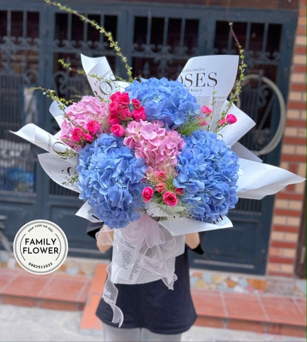 Bó hoa cẩm tú cầu tặng bạn gái người yêu nhân dịp Valentine Hà Nội ! Hoa cẩm tú cầu Hà Nội