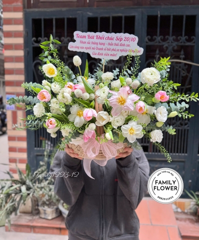 Lẵng Hoa Tulip Hồng Trắng Sang Trọng Chúc Mừng – Hoa Tươi Hà Nội | Family Flower