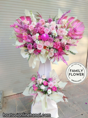 Hoa tân gia ! Cây hoa chúc mừng tân gia đẹp tại quận Ba ĐÌNH , ĐỐNG ĐA , Hà Nội