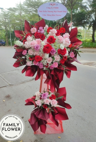 Hoa khai trương màu đỏ rực rỡ- Cây hoa khai trương Hà Nội.