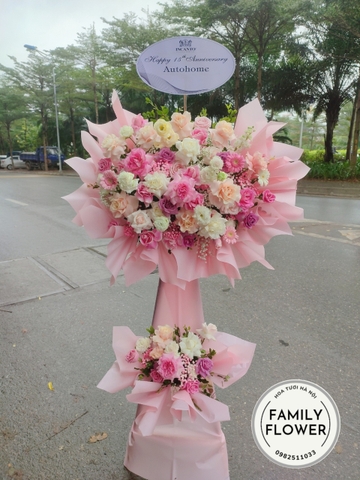 Hoa khai trương , cây hoa khai trương  quận Ba Đình - Cầu Giấy . cây hoa khai trương Hà Nội