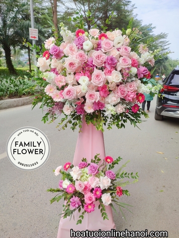 Cây hoa khai trương , kệ hoa tươi chúc mừng - chúc mừng sinh nhật tại Cầu Giấy - Hà Nội.