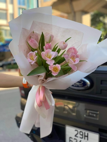 Hoa Tulip HÀ NỘI . BÓ hoa Tulip tặng sinh nhật người yêu ở BA ĐÌNH , CẦU GIẤY ,HÀ NỘI