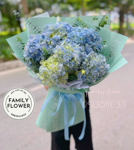 bó hoa cẩm tú cầu xanh bơ tặng  sinh nhật chồng , bố ở ba đình HÀ NỘI , hoa tươi HÀ NỘI