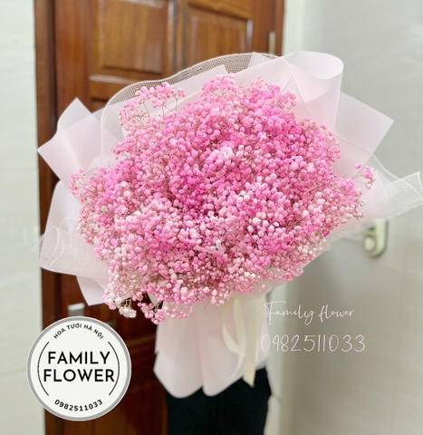 Bó hoa baby tặng sinh nhật người yêu ở HÀ NỘI  . mua hoa baby HÀ NỘI