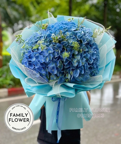 Bó hoa cẩm tú cầu xanh dương tặng sinh bố , anh trai ở hà nội . mua hoa cẩm tú cầu hà nội