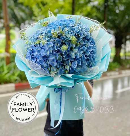 Bó hoa cẩm tú cầu xanh dương tặng sinh bố , anh trai ở hà nội . mua hoa cẩm tú cầu hà nội