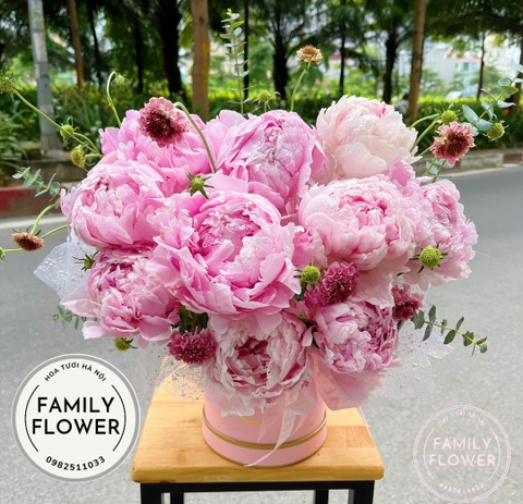 Hoa Mẫu Đơn Hà Nội , hộp hoa mẫu đơn tặng vợ , người yêu nhân dịp kỷ niệm , sinh nhật tại Hà Nội