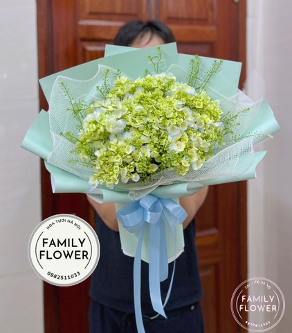 Bó hoa cẩm tú cầu xanh bơ ở hà nội , mua hoa cẩm tú cầu ở Cầu Giấy , Ba Đình ,Hoàn Kiếm Hà Nội