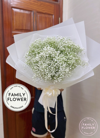 Hoa baby tặng người yêu nhân dịp 20 tháng 10 , mùng 8 tháng 3 ở Hà Nội, hoa tươi Hà Nội  