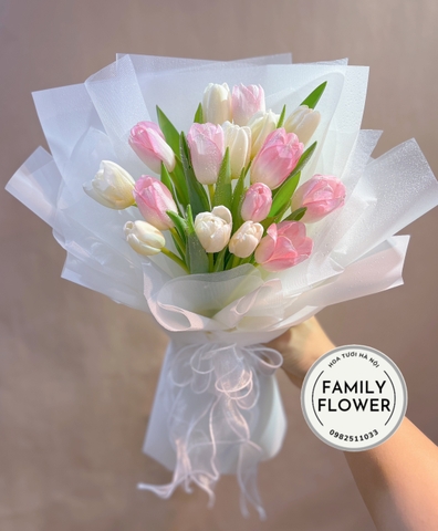 Bó hoa tulip tặng bạn gái ở Quận Hoàn Kiếm , Hai Bà Trưng Hà Nội ! Hoa tulip Hà Nội