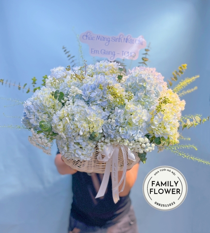 Hoa cẩm tú cầu Hà Nội ! Lẵng hoa tặng sinh nhật ở Hà Nội ! Hoa sinh nhật Hà Nội