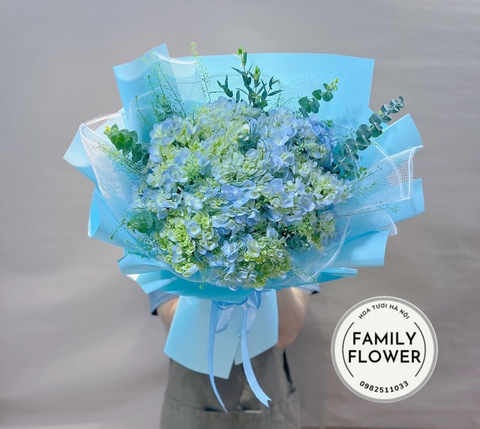 Hoa cẩm tú cầu ! Bó hoa cẩm tú cầu tặng bạn gái quận Tây Hồ , Ba Đình Hà Nội