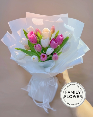 Bó hoa tulip hồng trắng tặng nhân dịp sinh nhật ở Hà Nội ! Hoa tuilp Hà Nội