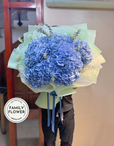Hoa tươi Ba Đình ! Bó cẩm tú cầu xanh dương tặng chúc mừng tại Hà Nội ! Mua hoa tươi online