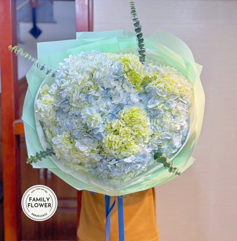 Hoa cẩm tú cầu ! Bó hoa cẩm tú cầu tặng bạn gái quận Đống Đa , Hà Nội