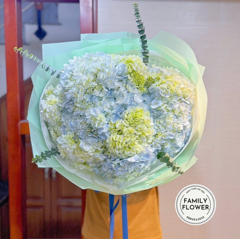 Hoa cẩm tú cầu ! Bó hoa cẩm tú cầu tặng bạn gái quận Đống Đa , Hà Nội