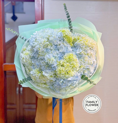 Hoa cẩm tú cầu ! Bó hoa cẩm tú cầu tặng bạn gái quận Đống Đa , Hà Nội