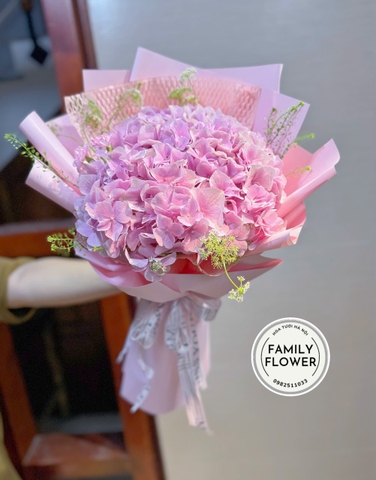 Bó hoa cẩm tú hồng tặng bạn gái ở quận  Cầu Giấy Hà Nội ! Hoa Cẩm tú cầu hà Nội