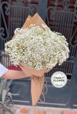 Bó hoa baby Hà Nội ! Hoa baby ! Bó hoa tặng sinh nhật