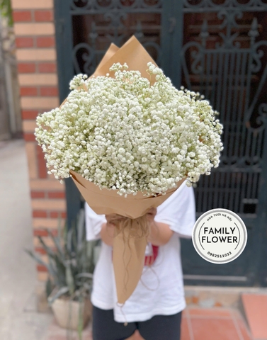 Bó hoa baby Hà Nội ! Hoa baby ! Bó hoa tặng sinh nhật