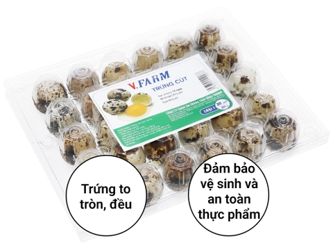 Hộp 30 trứng cút tươi V.Farm