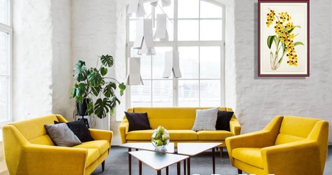 DỊCH VỤ GIẶT GHẾ SOFA GIÁ RẺ TẠI HANG GAI QUẬN HOÀN KIẾM HÀ NỘI