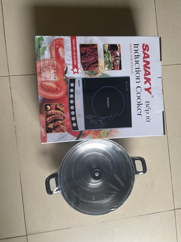 Bếp từ sanaky SNK-BTS22C