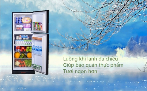 Tủ lạnh sanaky VH-198HY(D) 185 lít
