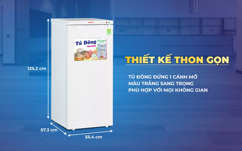Tủ đông Sanaky VH-180VD, Tủ đứng 150 lít, 1 cánh