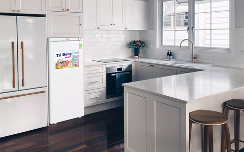 Tủ đông Sanaky VH-180VD, Tủ đứng 150 lít, 1 cánh