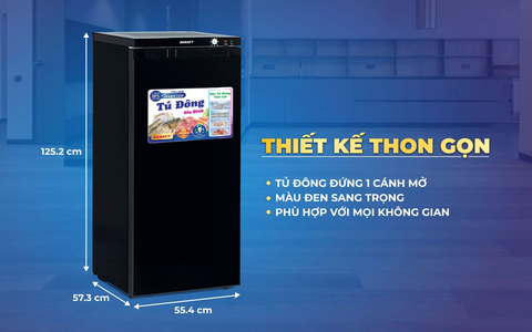 Tủ đông Sanaky VH-180VD3, Tủ đứng 150 lít, inverter, 1 cánh