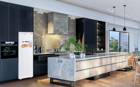 Tủ đông Sanaky VH-230VD, 213 lít, Tủ đứng, 1 cánh