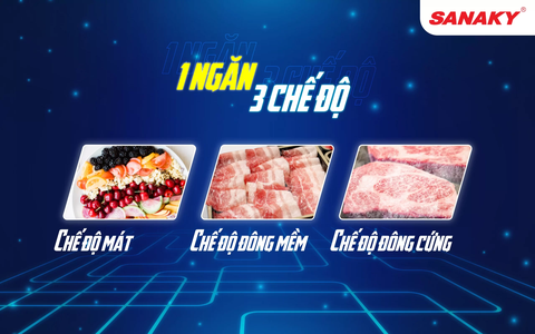 Tủ đông Sanaky VH-8699HYK, 761 lít, 1 ngăn đông, Nắp kính cường lực