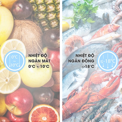 Tủ đông Sanaky VH-6699W1, 485 lít, 2 ngăn đông/mát, dàn lạnh đồng