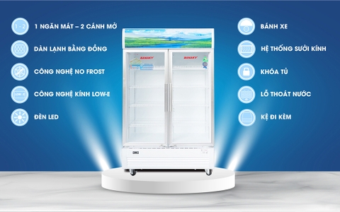Tủ mát Sanaky VH-6009HP 500 Lít, 2 cánh, dàn đồng
