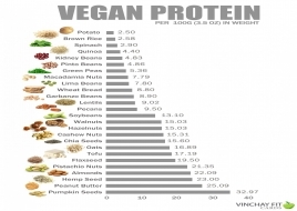 PROTEIN THỰC VẬT