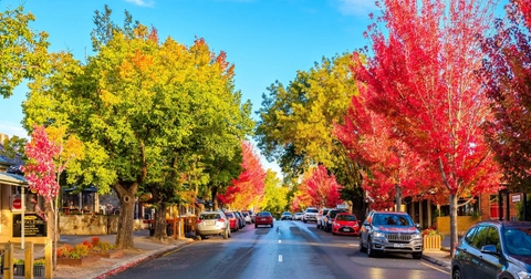 Chuyên gia nêu lý do nên đi du lịch vào mùa thu
