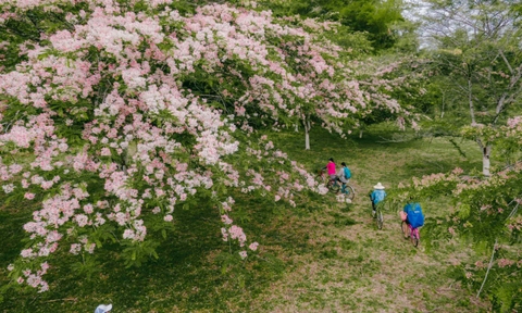 Về cổ tích tuổi thơ ở Tà Lài - Vườn quốc gia Cát Tiên