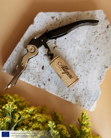 Nhà sản xuất vang Allegrini, biểu tượng của vùng Valpolicella