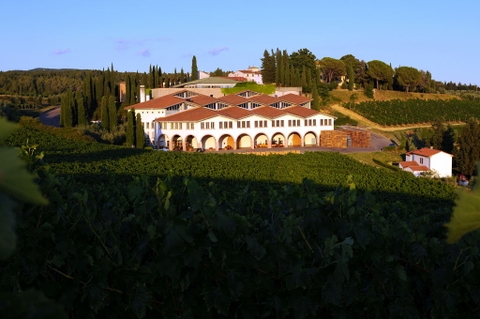 Một số thuật ngữ thông dụng về rượu vang