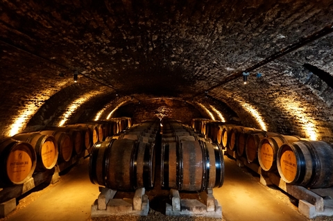 Nhà sản xuất rượu vang Patriarche - Pol Remy Ice