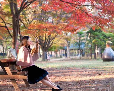 (6N5D) TOUR DU LỊCH HÀN QUỐC HÀ NỘI – SORAKSAN – INCHEON – SEOUL – NAMI