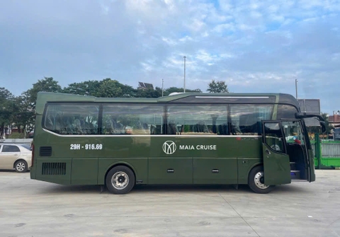 (1N) DU THUYỀN TALIYA 5 SAO HẠ LONG - LAN HẠ